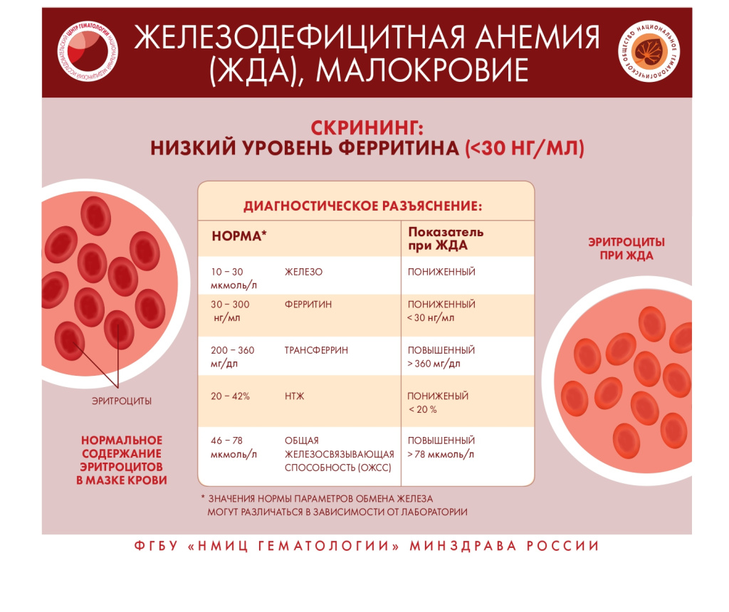 кровь 7.jpg кровь 7.jpg