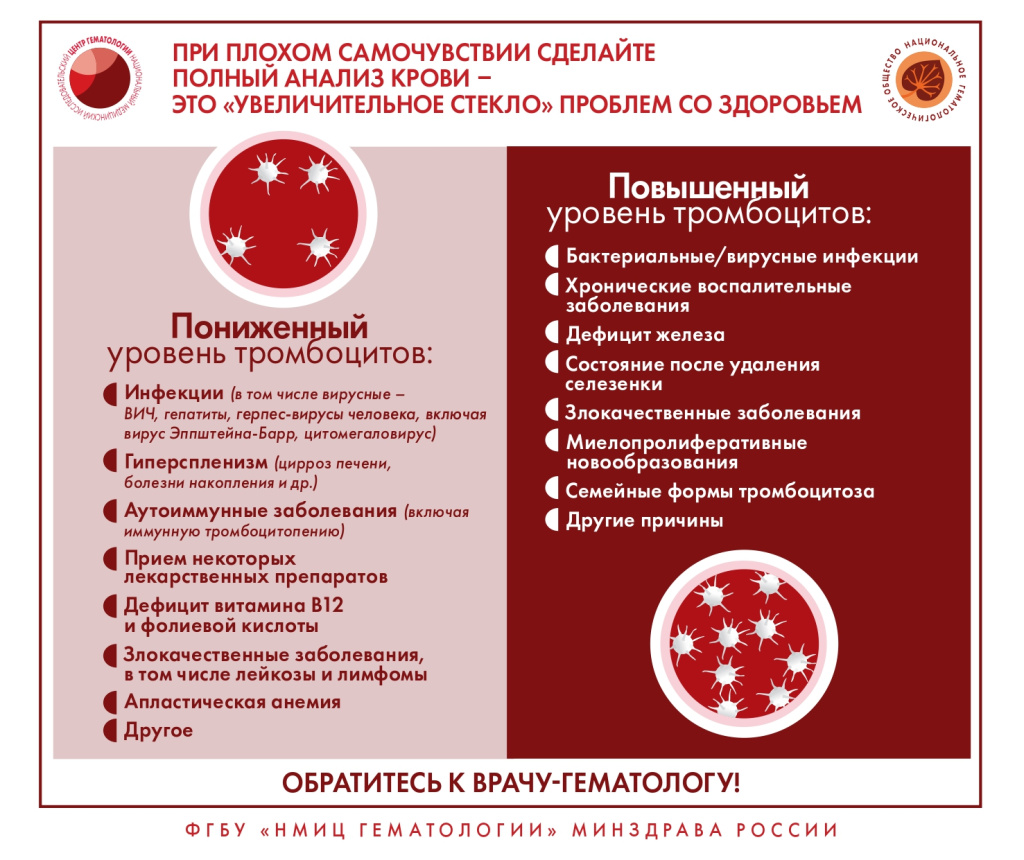 кровь 10.jpg кровь 10.jpg